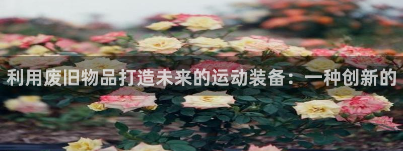 星欧娱乐扣款时间查询方法是什么意思