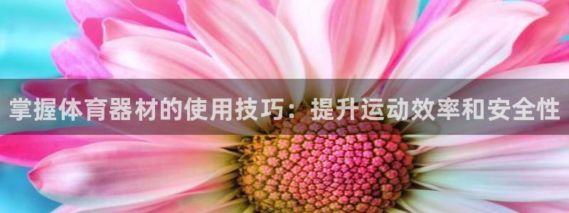 星欧娱乐测速：掌握体育器材的使用技巧：提升运动效率和安全性