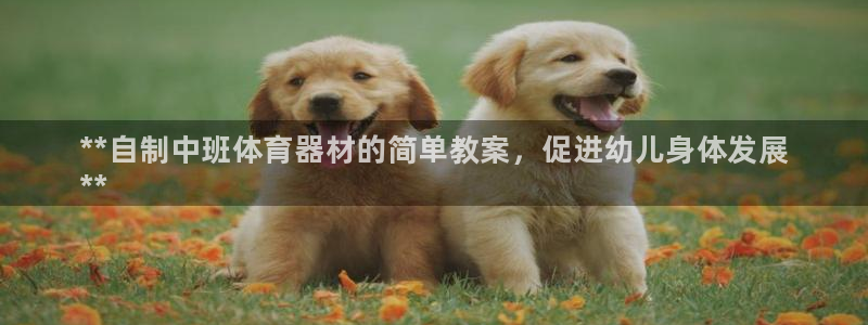 星欧娱乐公司创始人背景故事是什么：**自制中班体育器