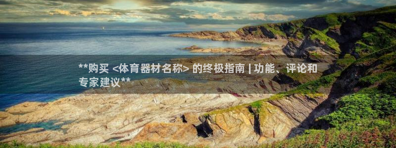 星奥娱乐集团股份有限公司招聘：**购买 <体育器材名