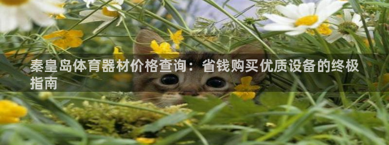 星欧娱乐法711.112怎么扣钱：秦皇岛体育器材价格