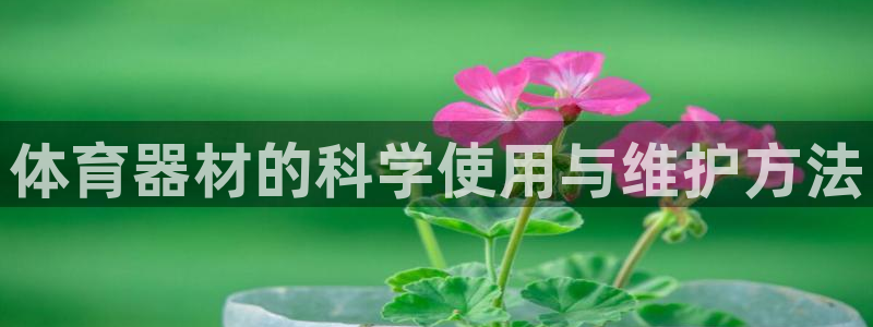 星欧娱乐是正规平台吗安全吗可靠吗