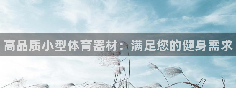 星奥娱乐集团是国企吗：高品质小型体育器材：满足您的健