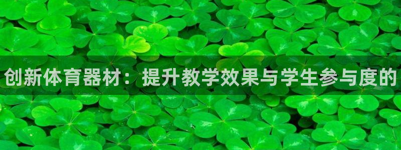 星欧娱乐属于什么档次的软件公司：创新体育器材：提升教学效果与 