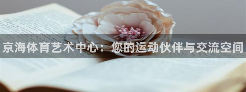 星娱乐包月业务是什么：京海体育艺术中心：您的运动伙伴