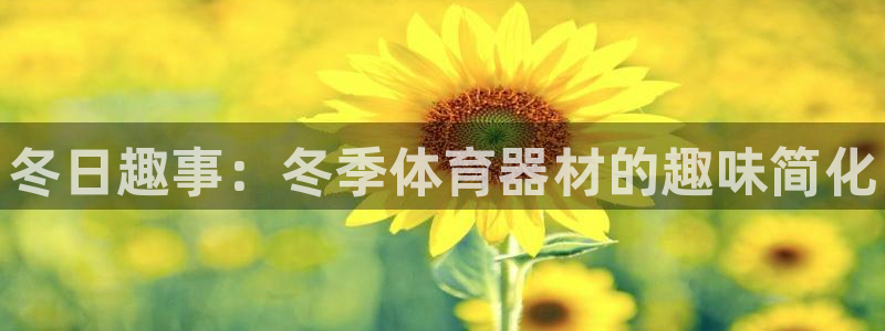星娱乐是谁的公司：冬日趣事：冬季体育器材的趣味简化