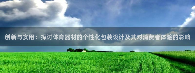 星欧娱乐平台测速线路怎么设置：创新与实用：探讨体育器