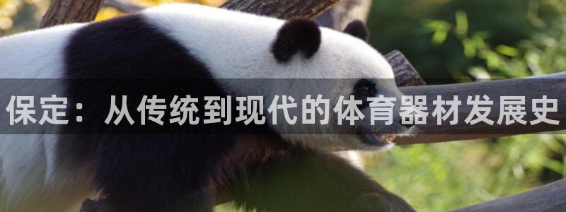 星欧娱乐平台方7O777：保定：从传统到现代的体育器