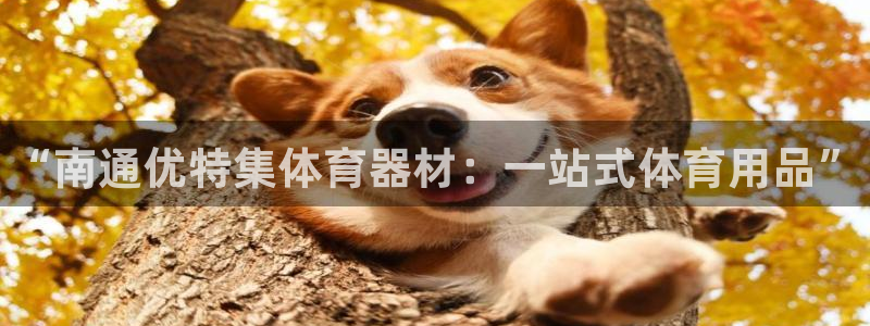 星欧娱乐法711.112扣费如何处理：“南通优特集体