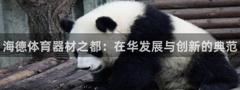 星欧娱乐属于什么档次的公司名称：海德体育器材之都：在