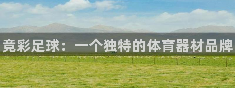 星欧娱乐挂机教程下载：竞彩足球：一个独特的体育器材品