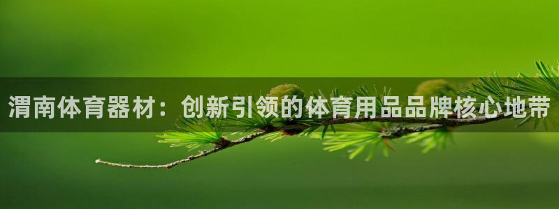 星游娱乐下载地址：渭南体育器材：创新引领的体育用品品牌核心地