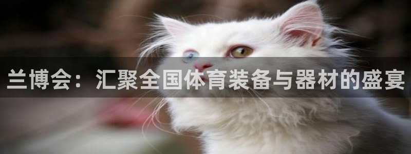 星欧娱乐的官方版本更新内容怎么删除：兰博会：汇聚全国