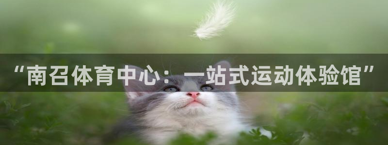 星奥娱乐集团股份有限公司怎么样：“南召体育中心：一站式运动体