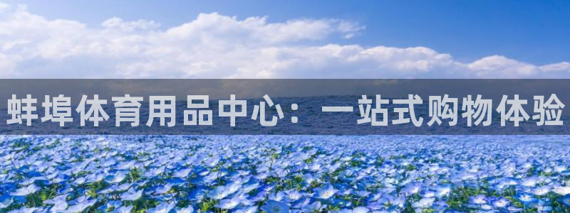星欧娱乐游戏中心官网登录：蚌埠体育用品中心：一站式购物体验