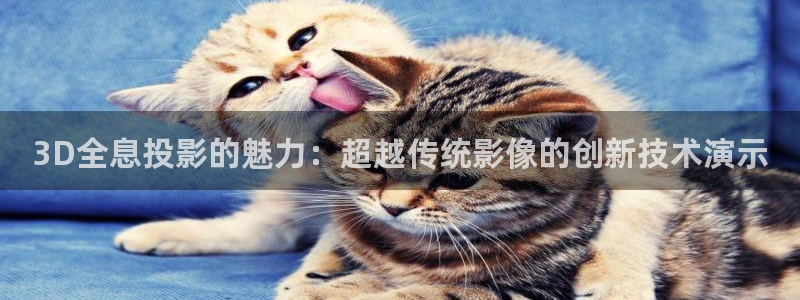 aaa亚洲影院：3D全息投影的魅力：超越传统影像的创新技术演示