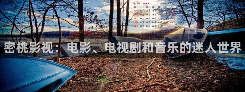 aa视频：密桃影视：电影、电视剧和音乐的迷人世界