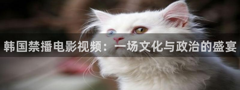 深夜影院aaaa：韩国禁播电影视频：一场文化与政治的盛宴