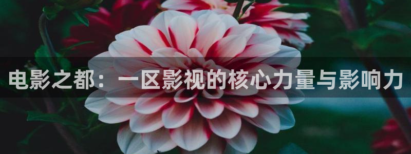 欧美aa免费大片：电影之都：一区影视的核心力量与影响力