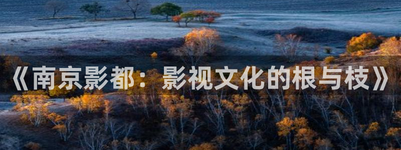 aaa在线影院：《南京影都：影视文化的根与枝》