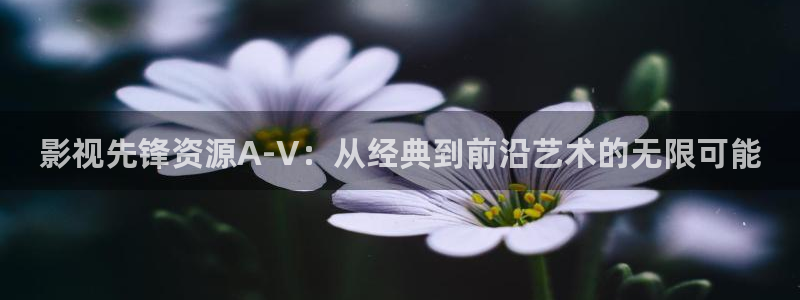 aaaaa影院：影视先锋资源A-V：从经典到前沿艺术的无限可能