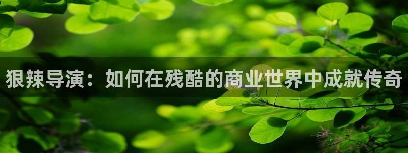 韩国aaa片电影：狠辣导演：如何在残酷的商业世界中成就传奇