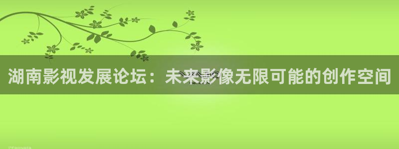 欧美片aaa：湖南影视发展论坛：未来影像无限可能的创作空间